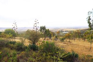 Saba Farm House and Lodge - Machakos - 5