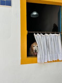 Casinha da Ladeira - Goiás - 0