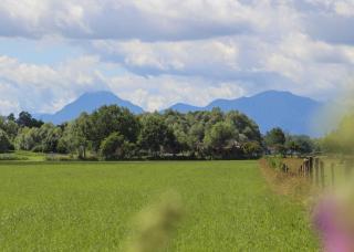 Springerhof - 2