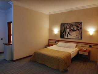 Ermenek Selcuklu Otel - Ermenek - 9