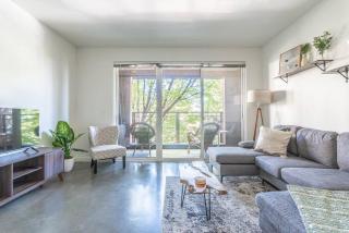 Seattle Lux 1 bd Apartment- Rooftop, WiFi, Pet Friendly - 5