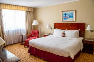 Paris Marriott Charles de Gaulle Airport Hotel - Roissy-en-France - 7
