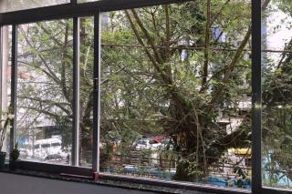Amplo apartamento à 100m da praia - São Vicente - 1