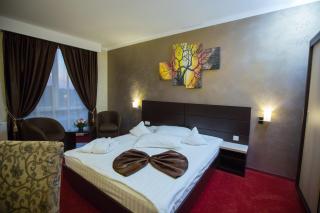 Hotel Meliss - Craiova - 8