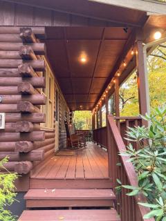 Log cabin on peaceful river - 3