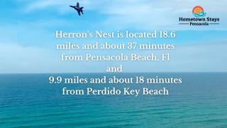 Herron's Nest - Pensacola - 5