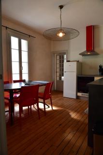 Les sternes de st Mathurin sur Loire , terrasse sur la Loire - 4