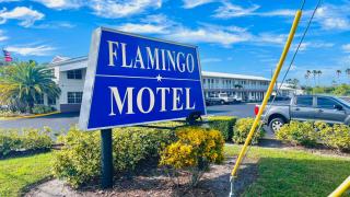 Flamingo Motel - 9