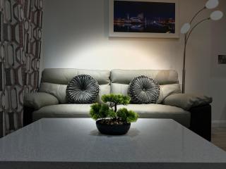 Aqua Dream Luxury Apartment-Coyles Place at Portland 88 - Belfast - 1