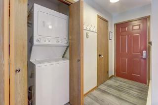 Sloane Condo for Families Golfers and Girls Trips - Wisconsin Dells - 4
