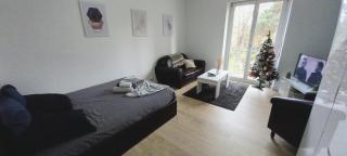 NEW appartement proche gare et centre-ville - Colmar - 8