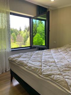 Duplex apartment near the forest - Bakoerjani - 5
