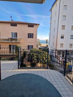 Le primule - San Benedetto del Tronto - 5