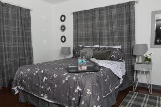 Mid-Century Comfy-Chic Chateau 3/2 Pet Friendly - Tallahassee - 0
