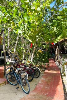Casa Jade Ecobungalows Las coloradas - Yuluc - 8