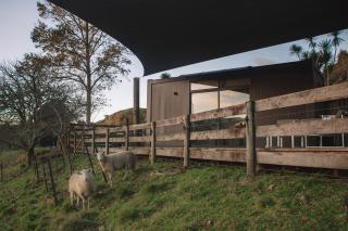 White Pine Bush Cabins - 4