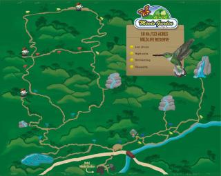 Mindo Garden Lodge and Wildlife Reserve - 5