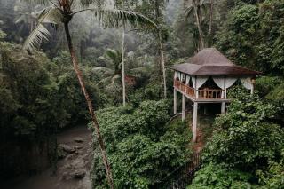 Villa Bedulu Cliff Estate Ubud - Wood Side - Ubud - 5