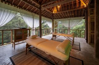 Bedulu Cliff Estate Ubud - Tree Top - 2
