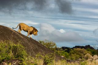Africa Eco Expeditions Camp - Mugumu - 5