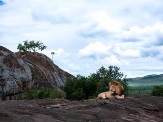 Africa Eco Expeditions Camp - Mugumu - 4
