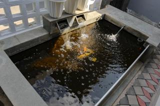 Aliem Homestay Jogja - 7