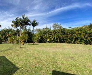Secluded house, Opening special! - Pahoa - 7
