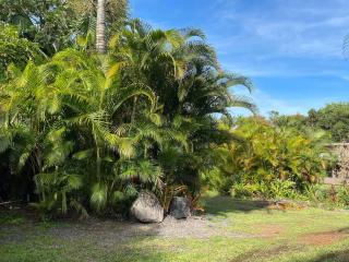Secluded house, Opening special! - Pahoa - 6