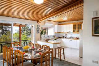 Platres Forest Panorama Cottage - 3