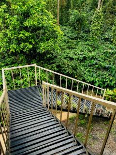 The Last Try - Secret Ashram Coorg - Siddapur - 6