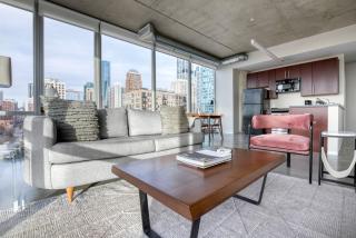 South Loop 2br w rooftop 3 blocks to grant park CHI-1018 - 8