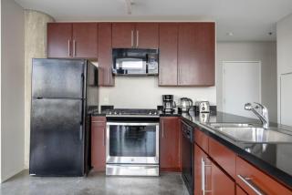 South Loop 2br w rooftop 3 blocks to grant park CHI-1018 - 3