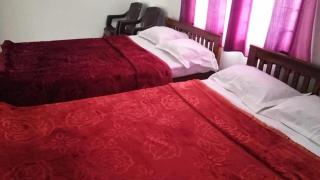 Drizzledale villa - Ooty - 4