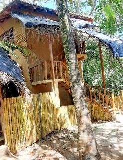 Seasons Four Jungle Treehouse - Matara - 8