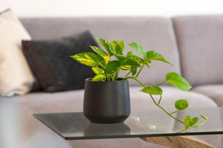 Kanika Seabreeze Apt by TrulyCyprus - Limassol - 4