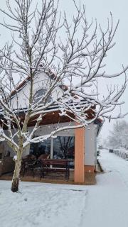 Bella - Óhid - 8