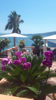 Apartmani Kalinic - 7