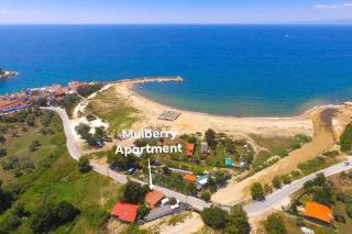 Mulberry Apartment - Skala Marion - 8