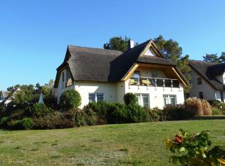 Lod - "Ingo" - Loddin - 7