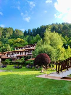 SPA Hotel Ismena - Devin - 6