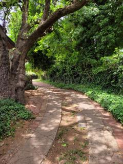 Riverbush Lodge Guesthouse - Parys - 9