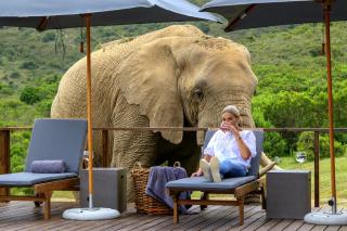 Barefoot Addo Elephant Lodge - Luxury Family Villa - 2