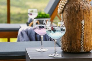 Barefoot Addo Elephant Lodge - Luxury Family Villa - Addo - 1