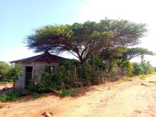 Sau Tsavo Camp - 7
