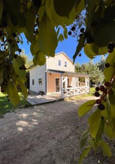 Domki na Kaszubach u Madzi - 0