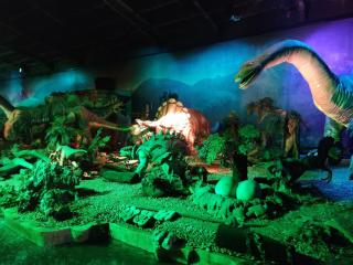 Homeclub, Beto Carrero, praia, piscina diversão - 6