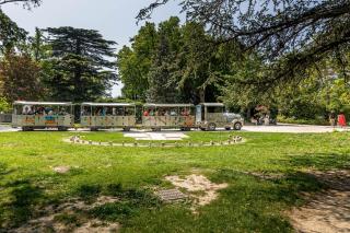 Camping les Avignon - la Laune - Villeneuve-lès-Avignon - 4