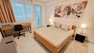 Apartman Laki - Tošin Bunar - 7