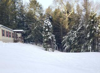 Tranquil renovated house in woods - great for families year around - 0