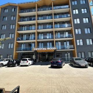Crystal Wood212 - Bakuriani - 2